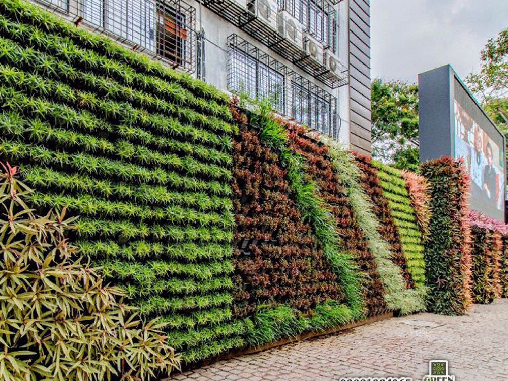 vertical Garden